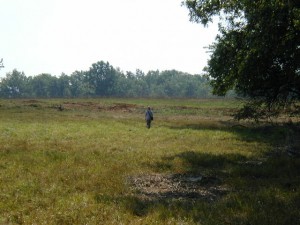 The fields of Gettysburg, inspiration for Heitzeg's "Wounded Fields" 