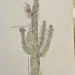 Song of the Sacred Saguaro